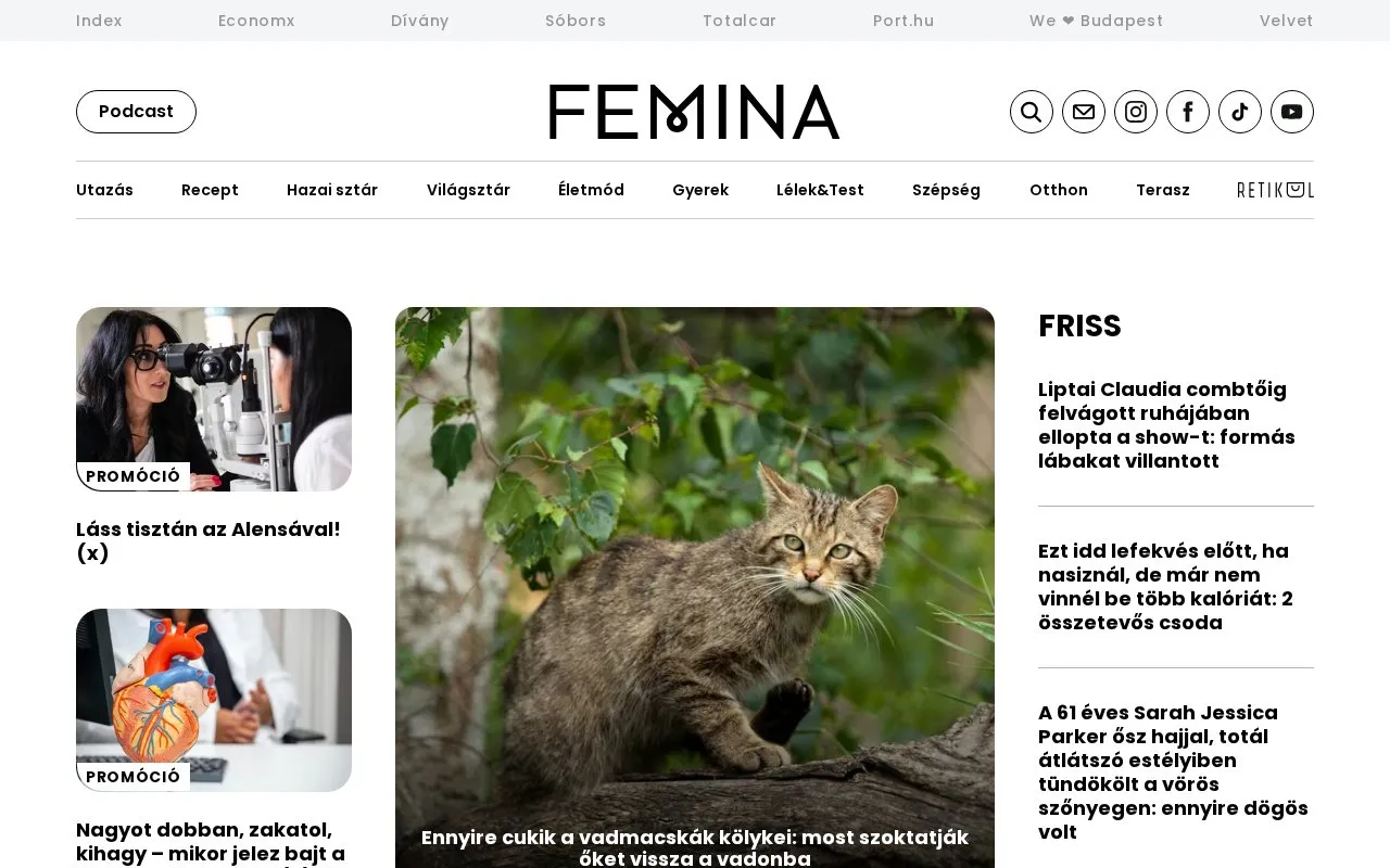 Femina homepage screenshot