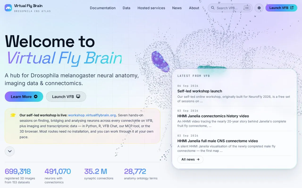 Virtual Fly Brain homepage screenshot