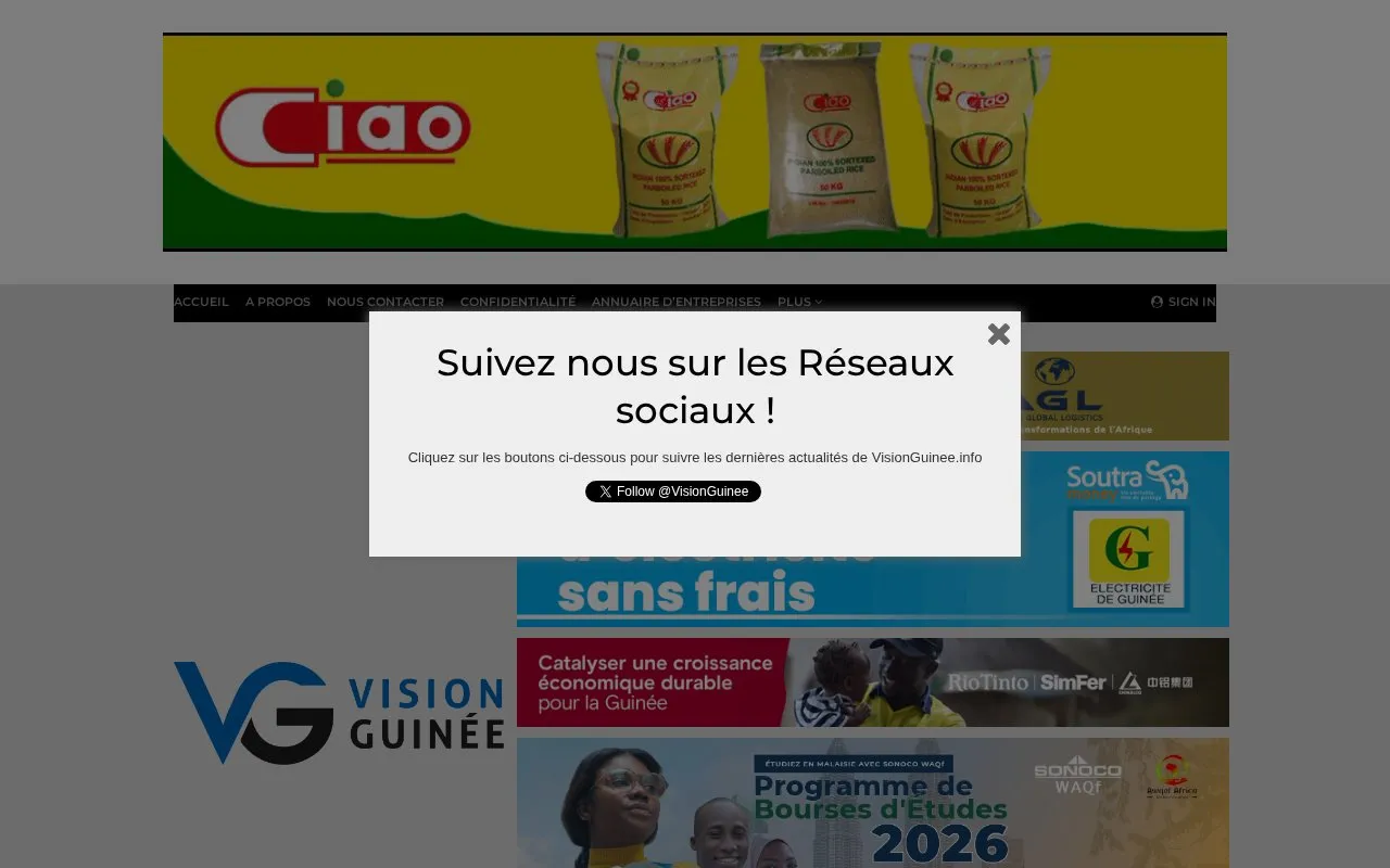Vision Guinee homepage screenshot