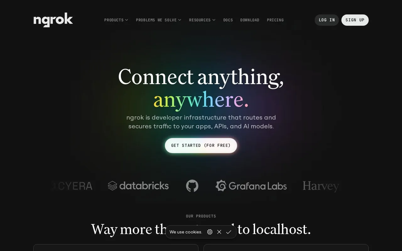 ngrok homepage screenshot