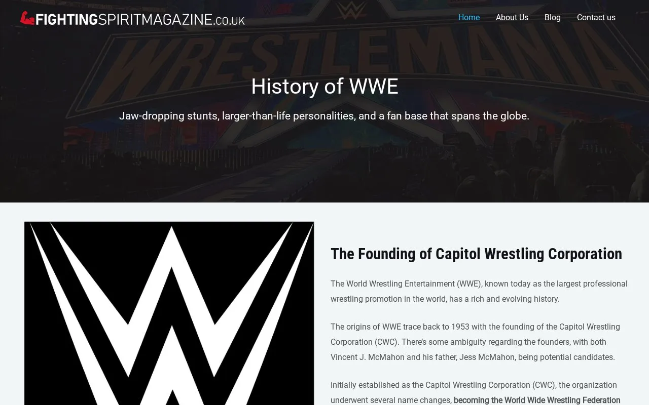 Fighting Spirit Magazine homepage screenshot