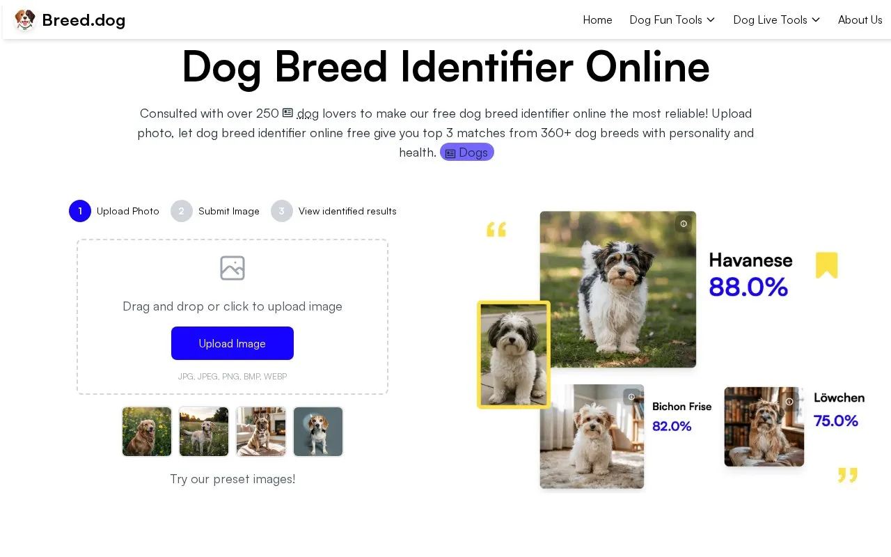 Dog Breed Identifier homepage screenshot