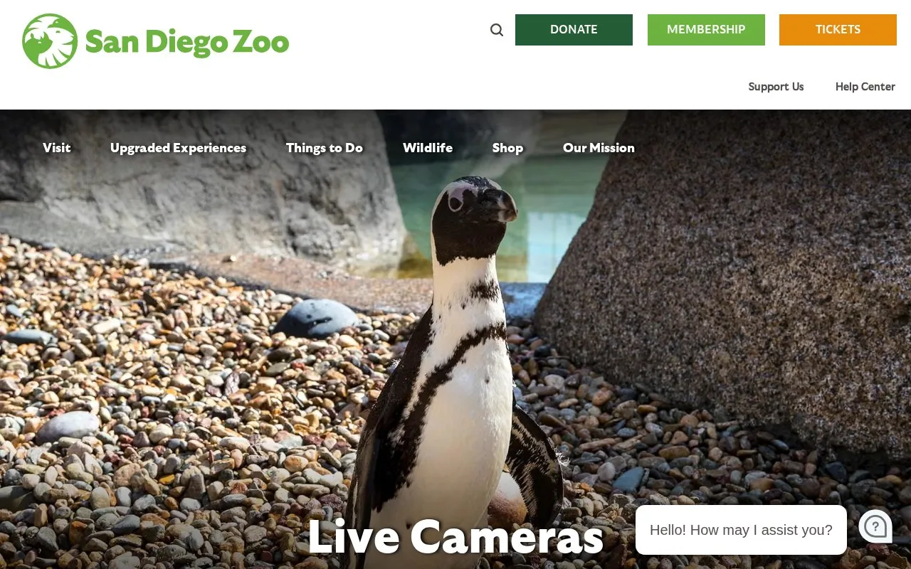 San Diego Zoo homepage screenshot