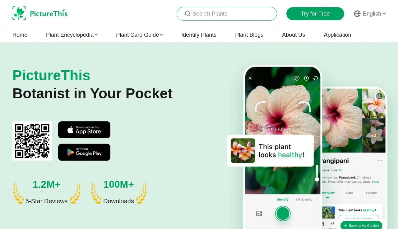 PictureThis homepage screenshot