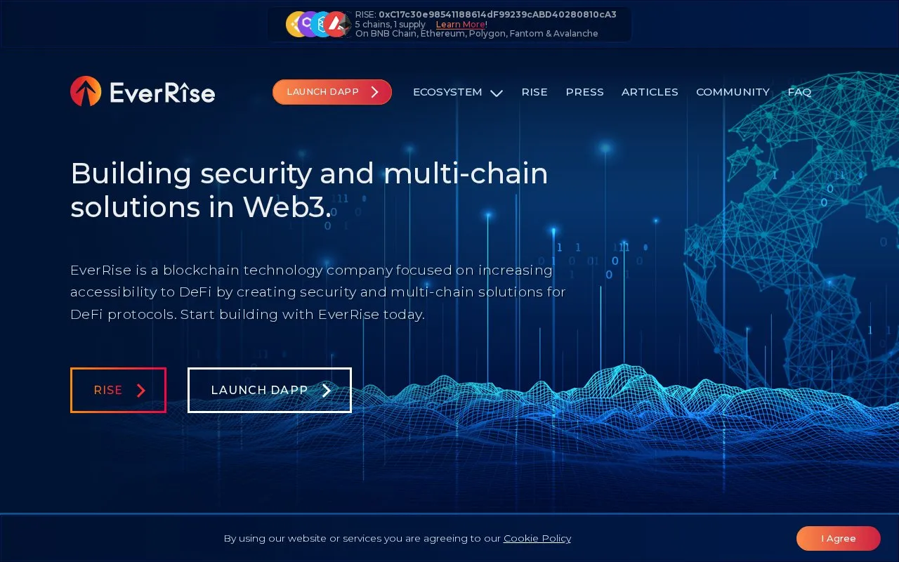 EverRise homepage screenshot