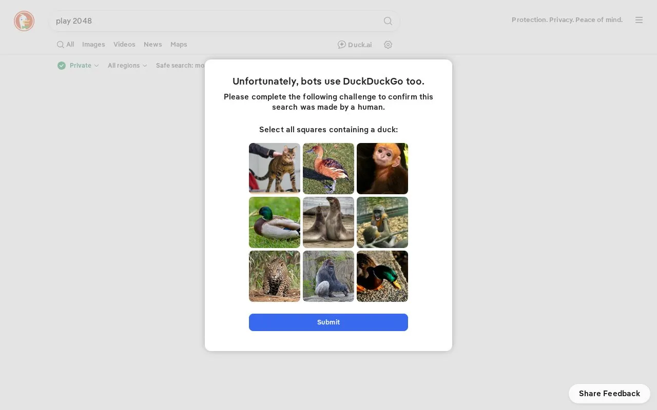 DuckDuckgo 2048 homepage screenshot