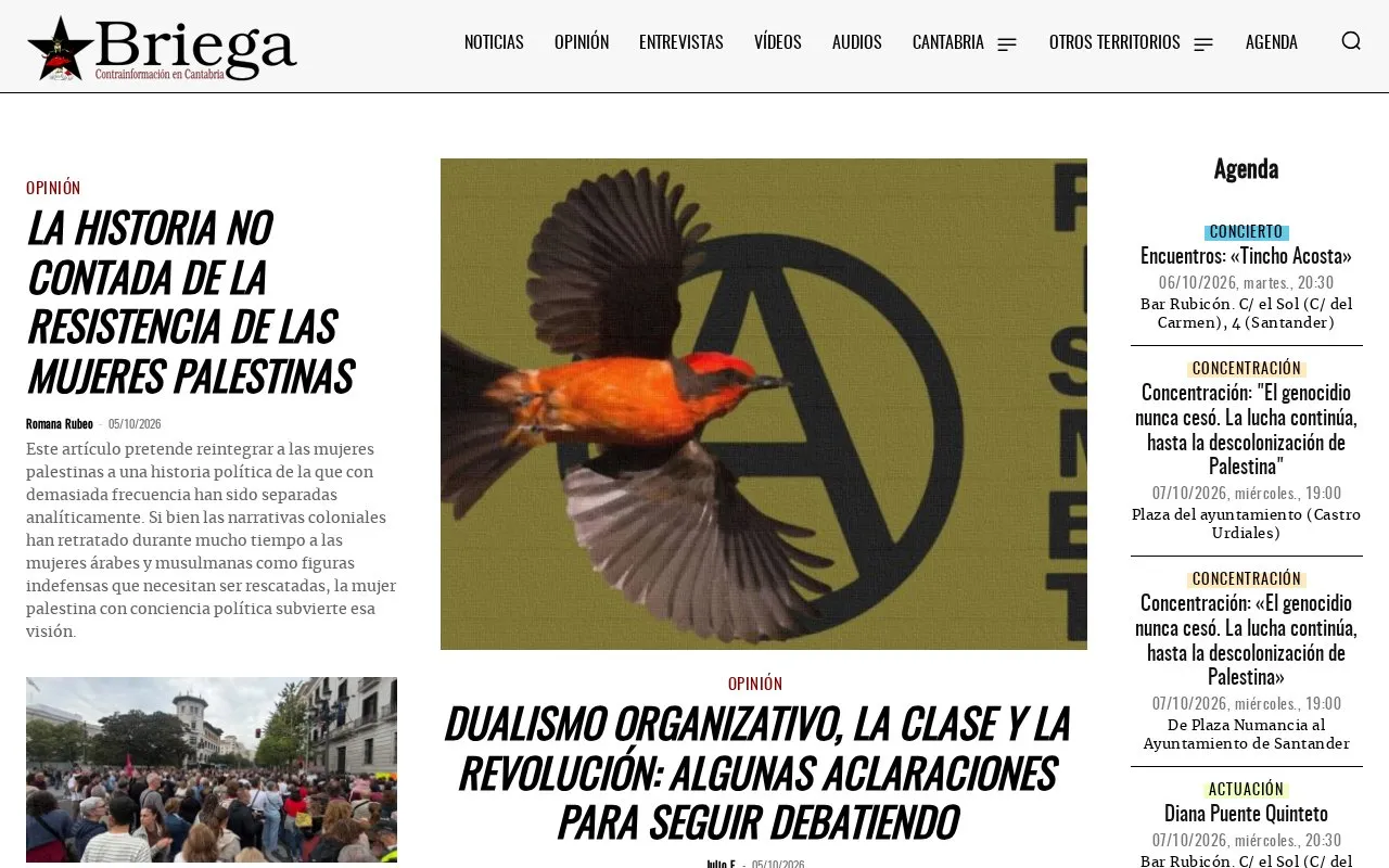 Briega homepage screenshot