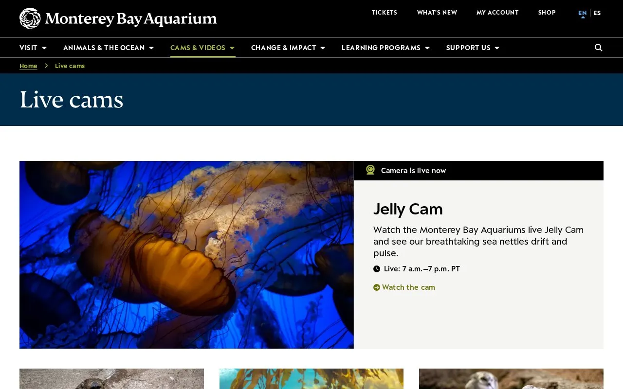 Monterey Bay Aquarium homepage screenshot