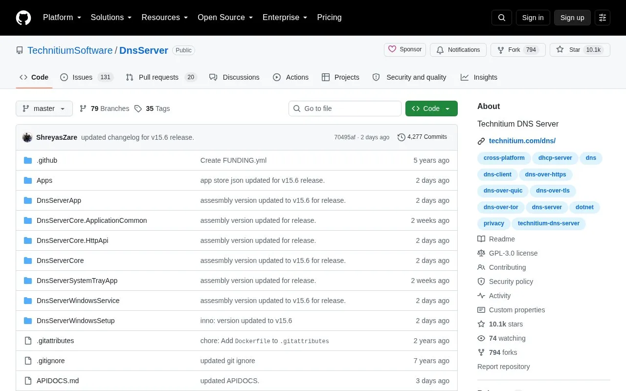 DNS Server homepage screenshot