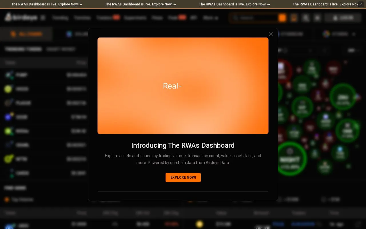 Birdeye homepage screenshot