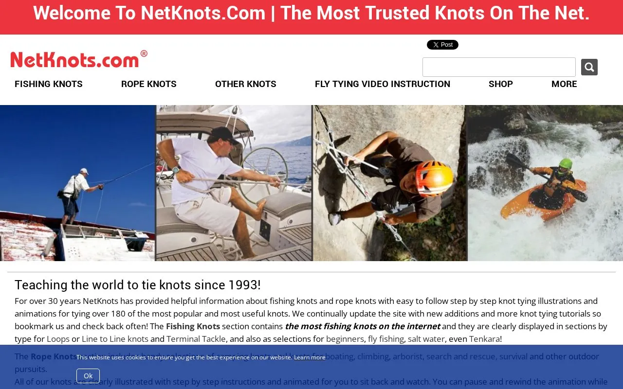 NetKnots homepage screenshot