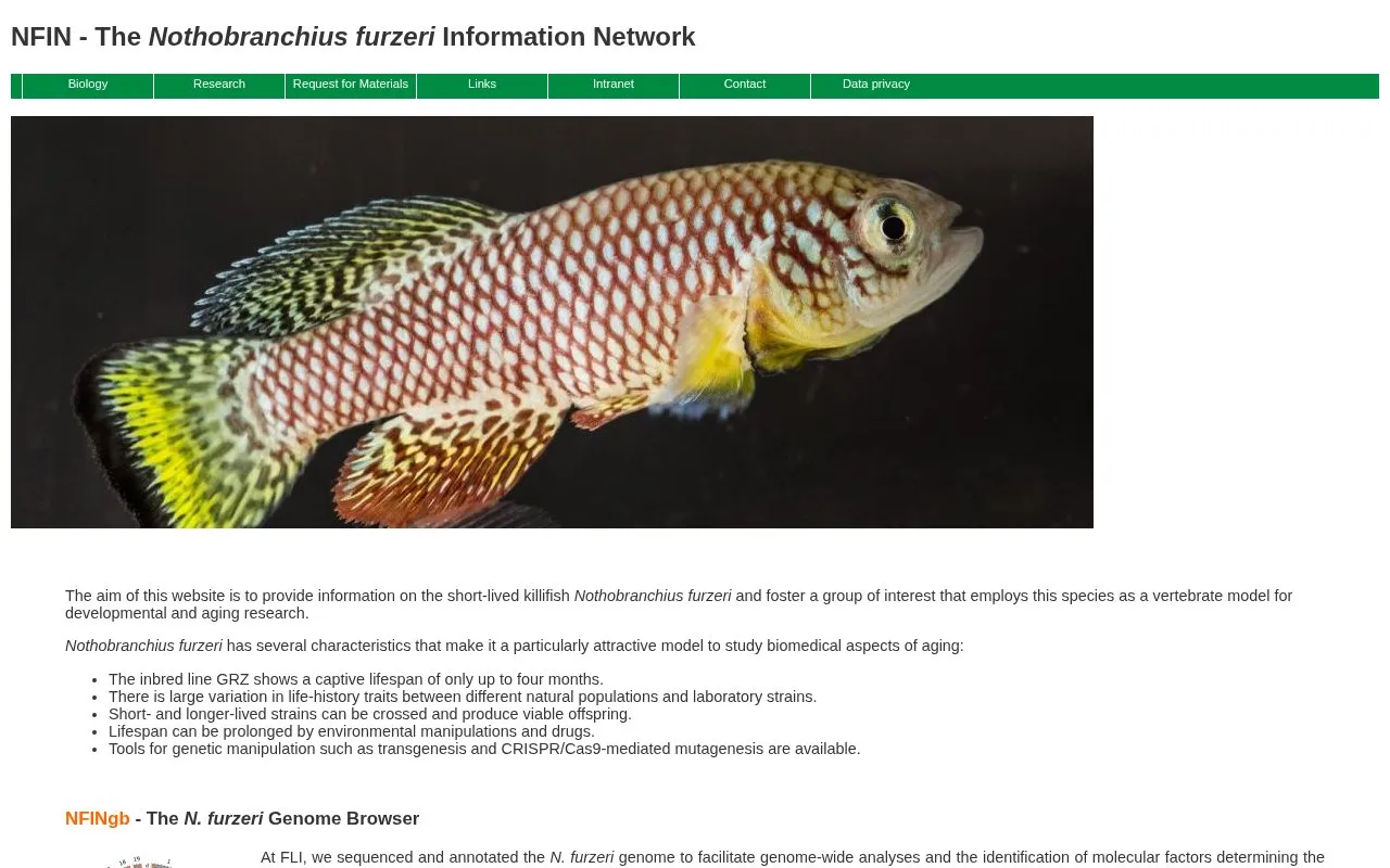 Nothobranchius furzeri Information Network homepage screenshot