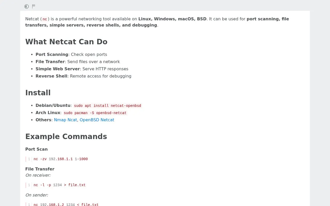 Netcat homepage screenshot