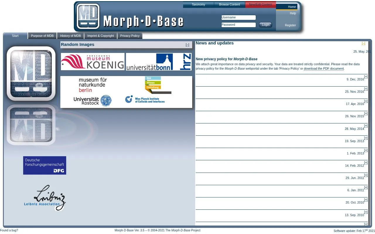 Morph·D·Base homepage screenshot