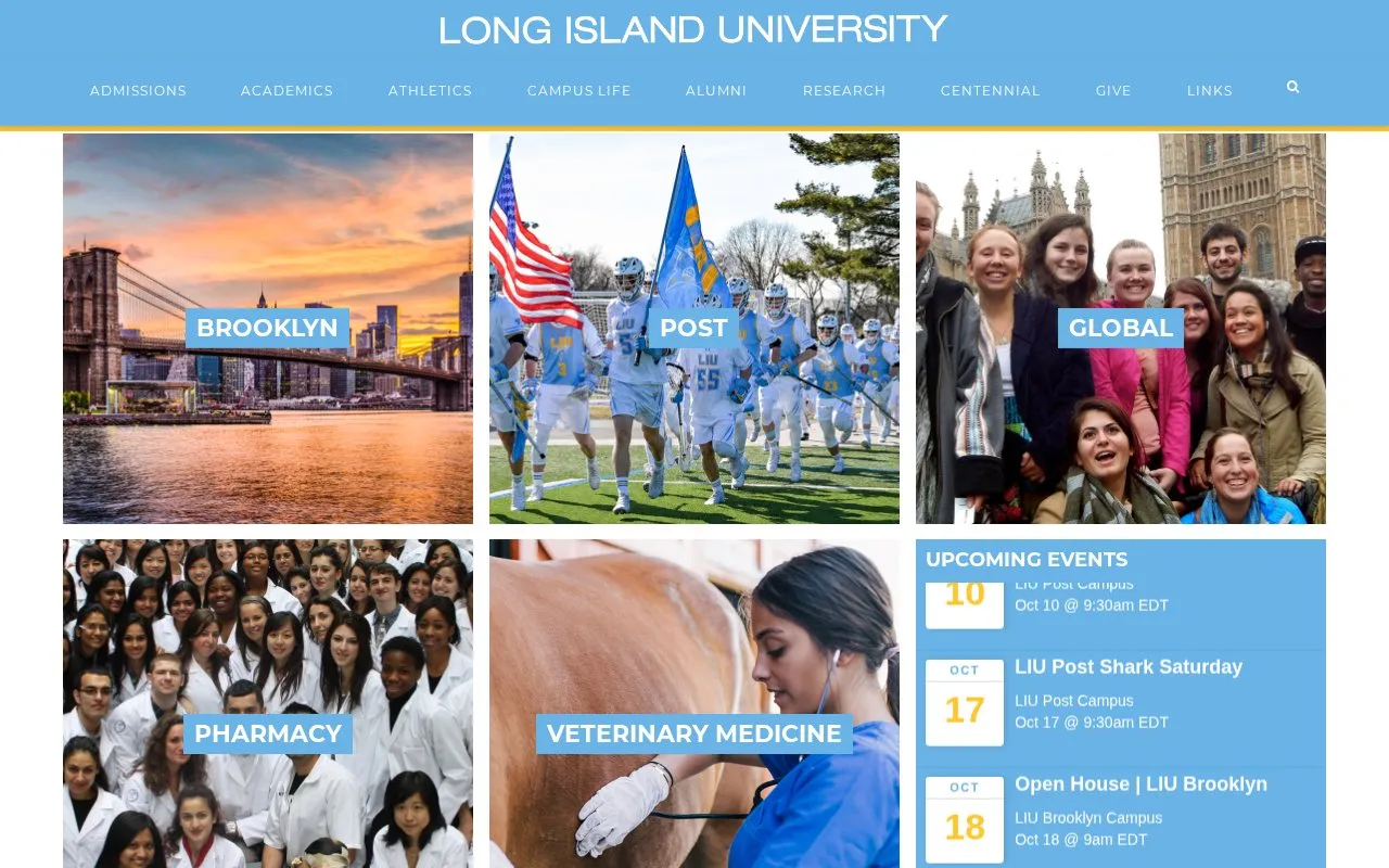 Long Island University homepage screenshot