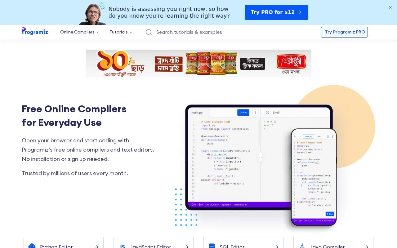 Programiz homepage screenshot