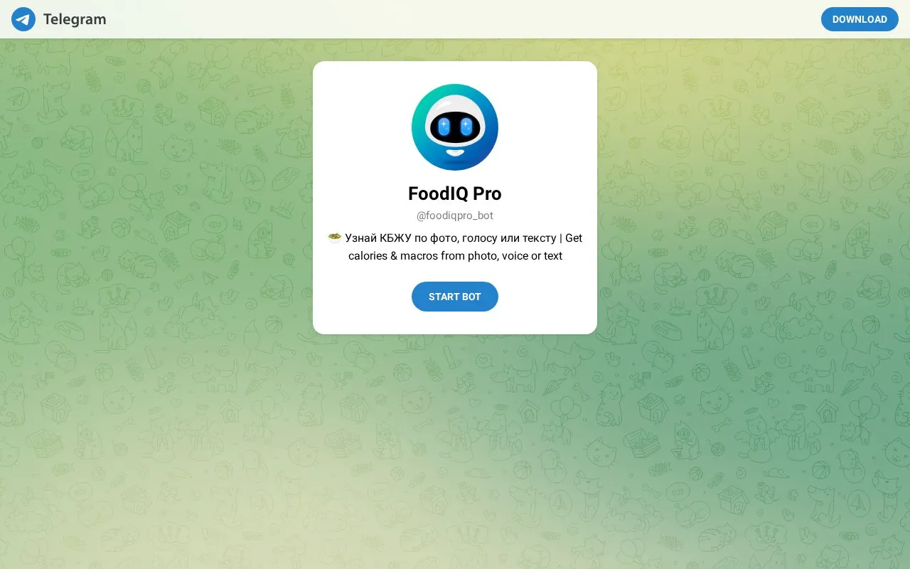 @foodiqpro_bot homepage screenshot