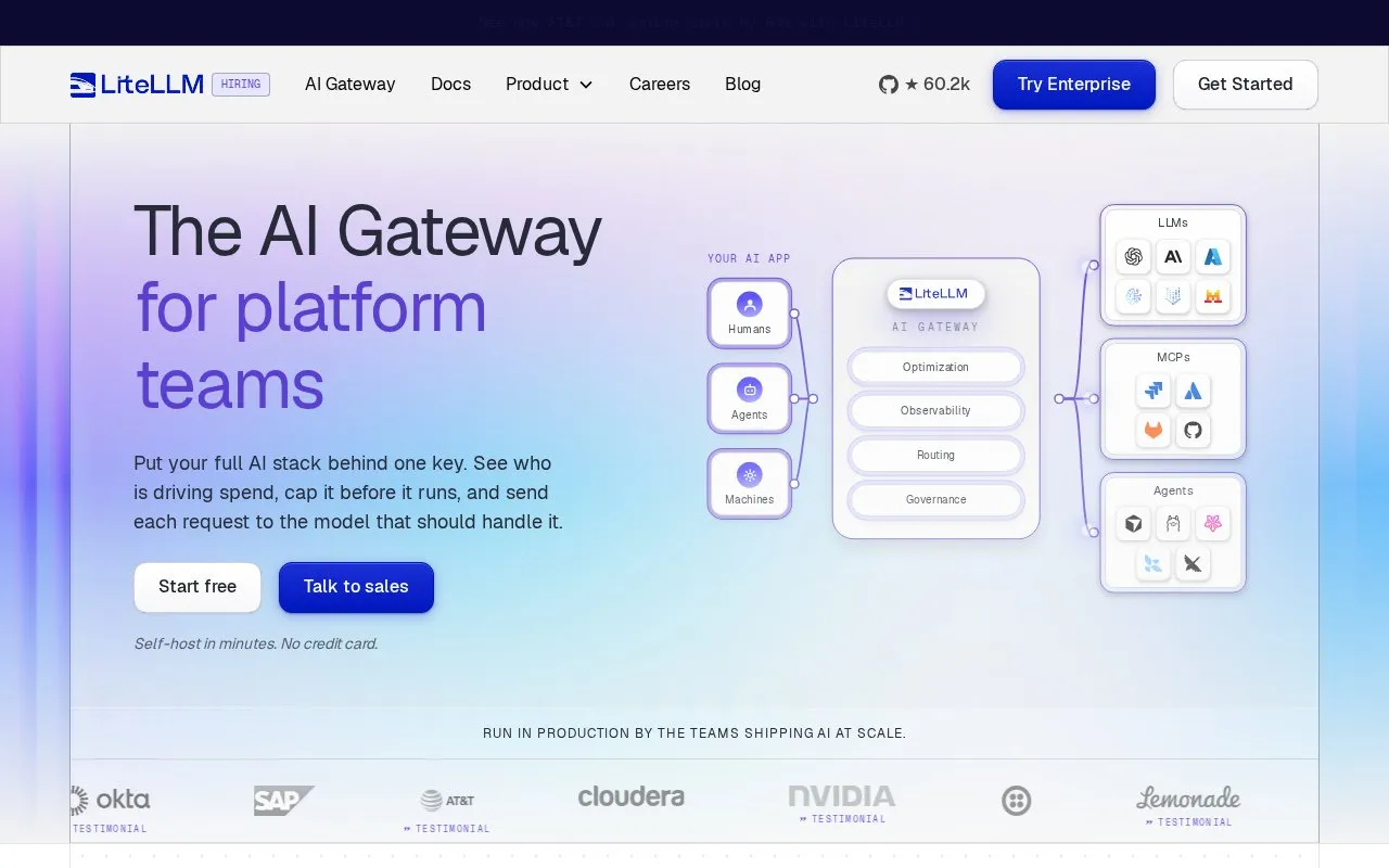 LiteLLM homepage screenshot