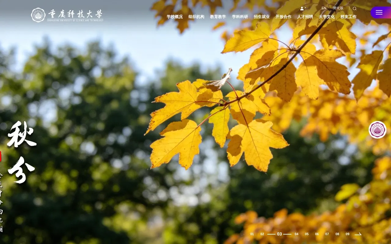 Chongqing University of Science and Technology homepage screenshot