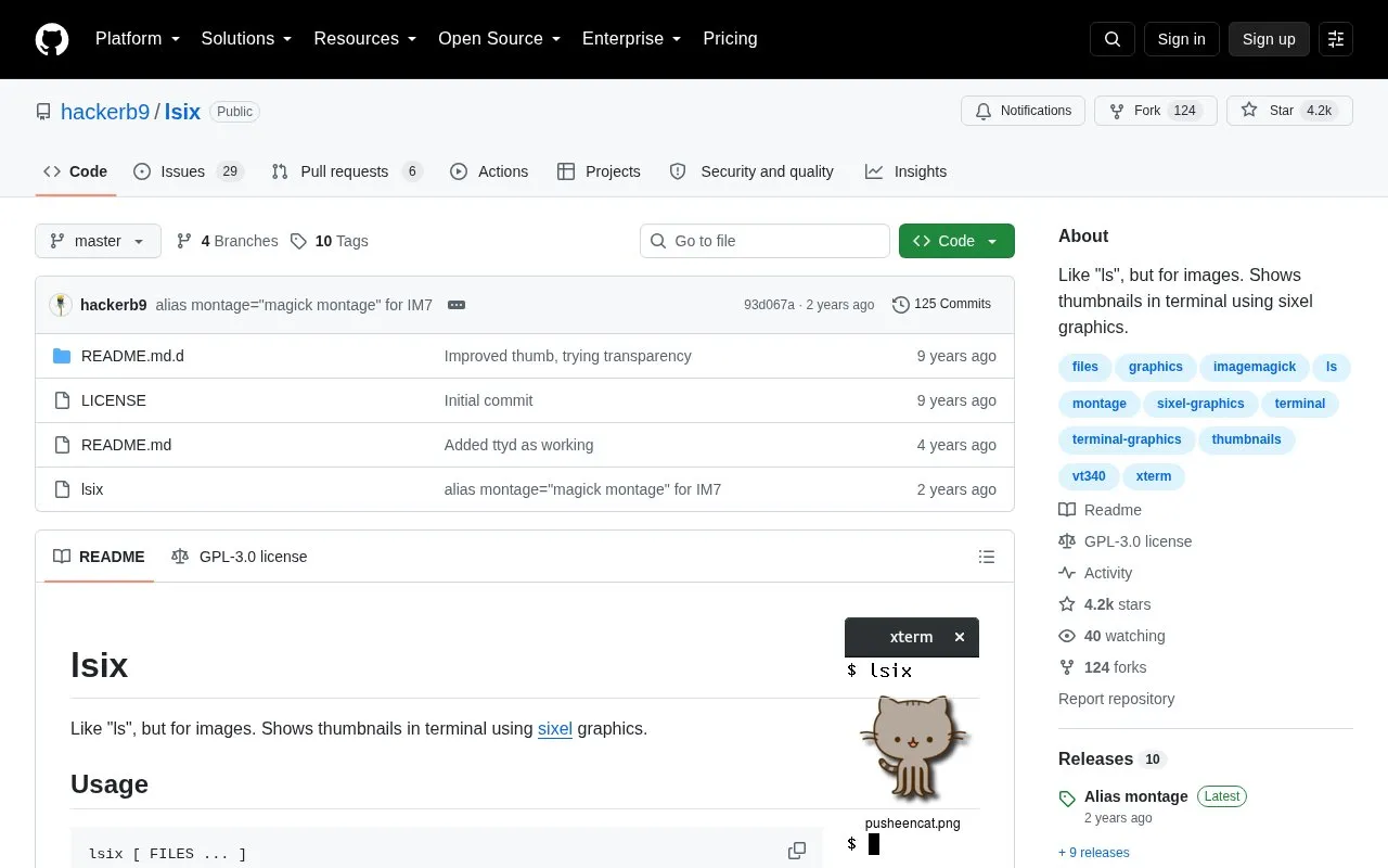 lsix homepage screenshot