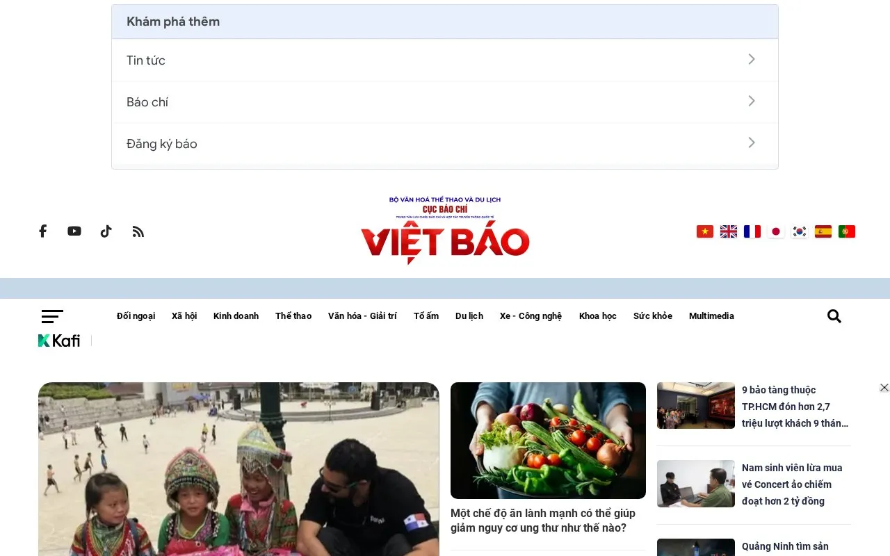 Việt Báo homepage screenshot