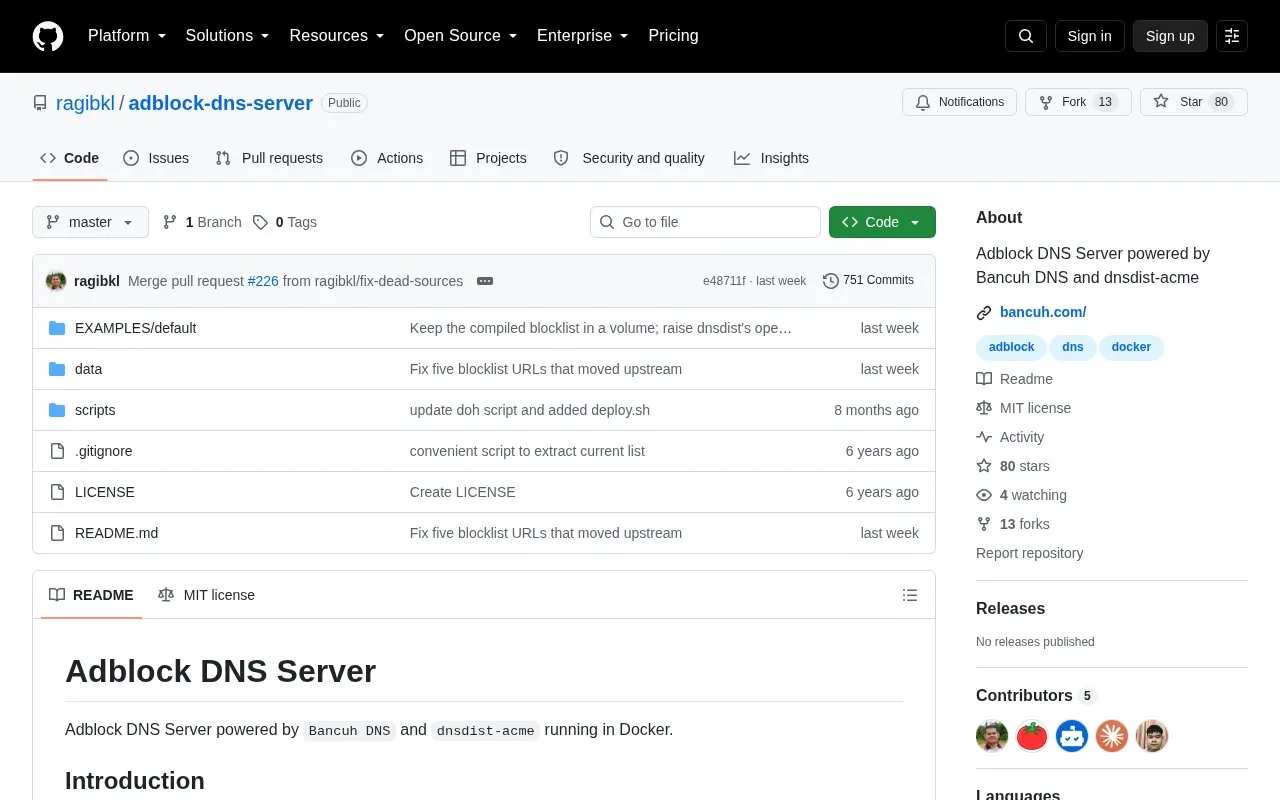 Adblock DNS Server homepage screenshot