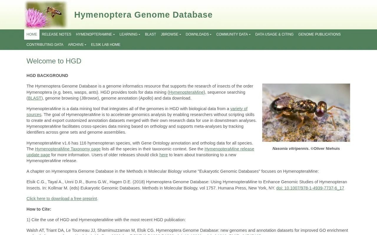 Hymenoptera Genome Database homepage screenshot