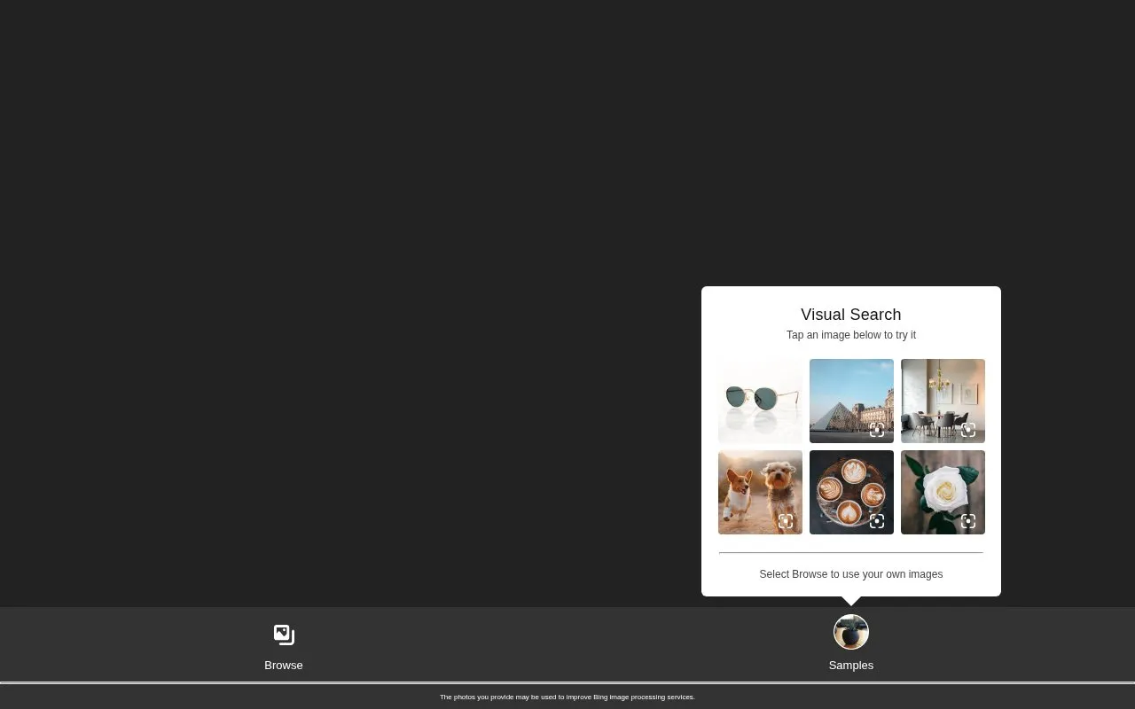 Bing Visual Search homepage screenshot