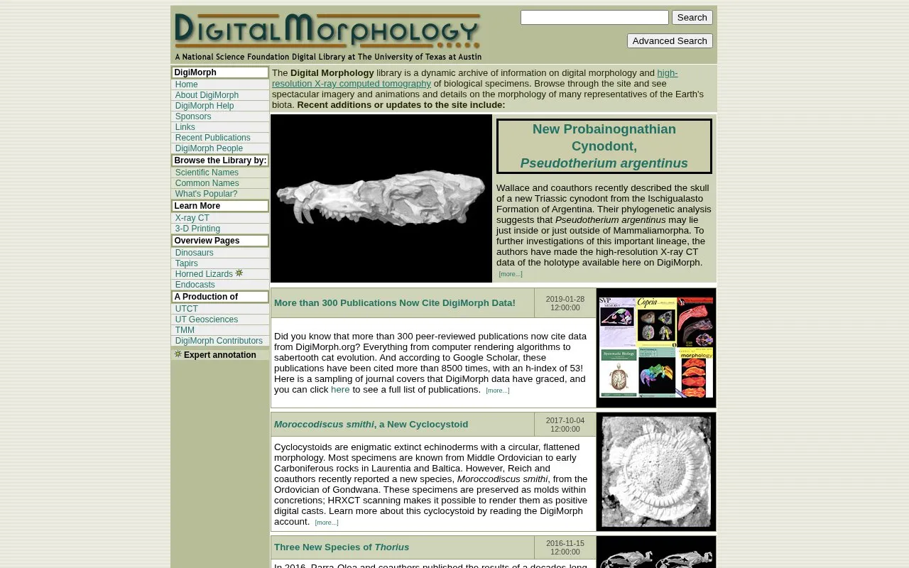 DigiMorph homepage screenshot