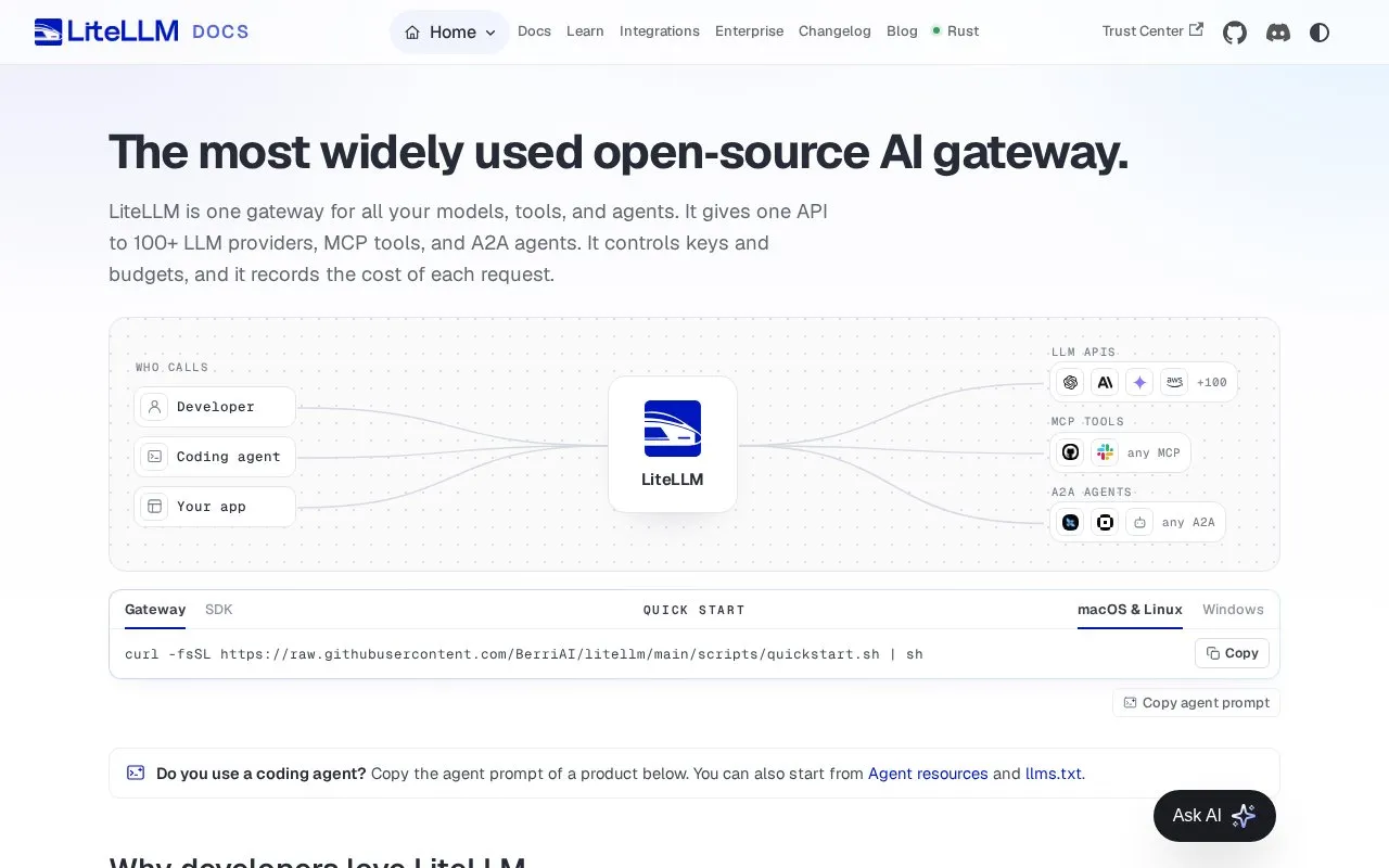 LiteLLM homepage screenshot