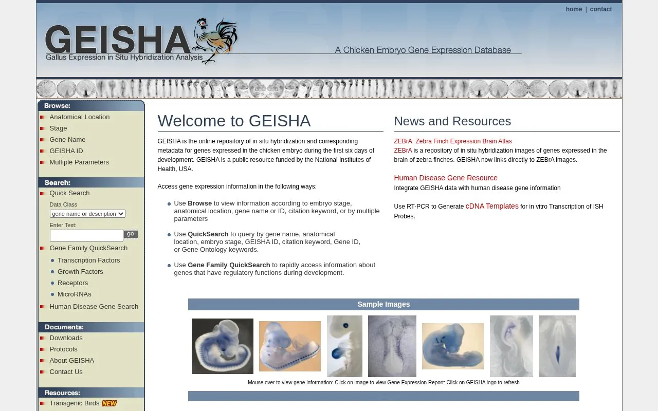 GEISHA homepage screenshot