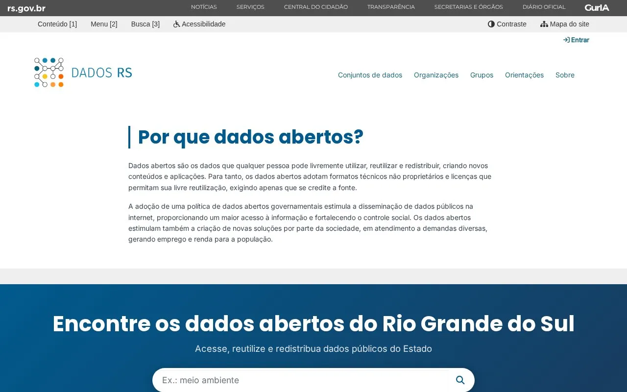 Dados RS homepage screenshot