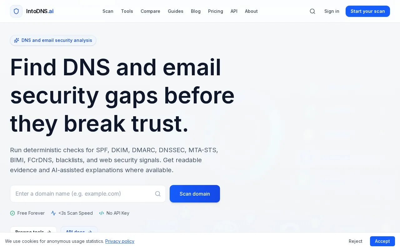 IntoDNS.AI homepage screenshot
