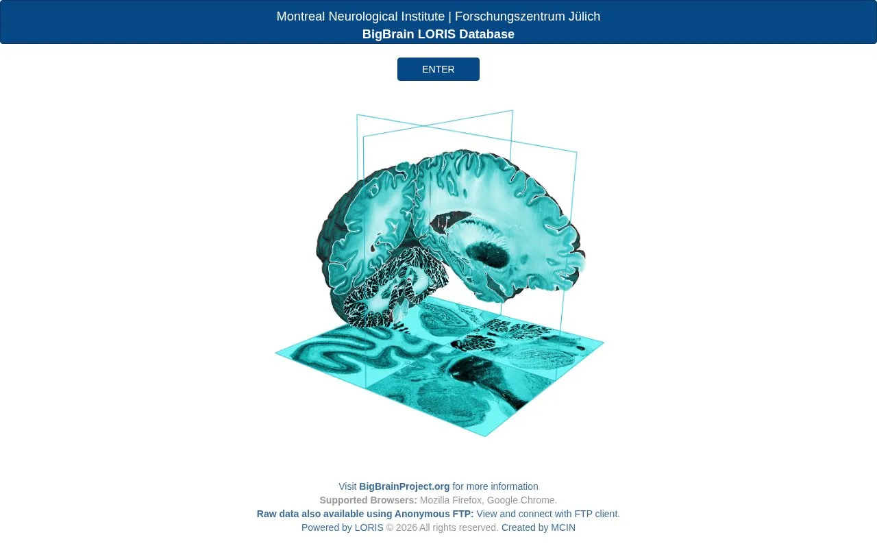 BigBrain Database homepage screenshot