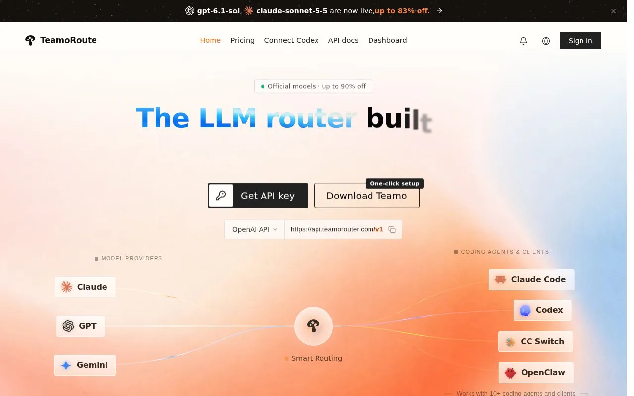 TeamoRouter homepage screenshot