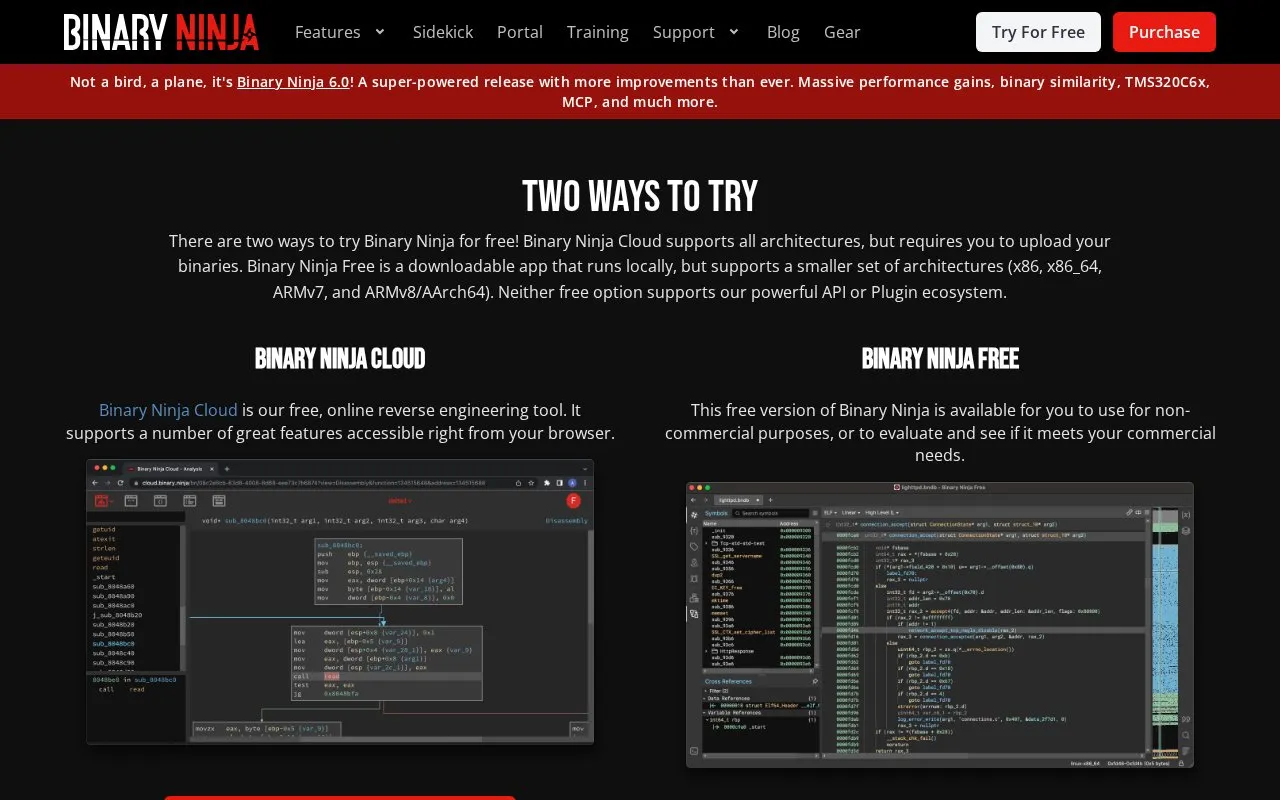 Binary Ninja homepage screenshot