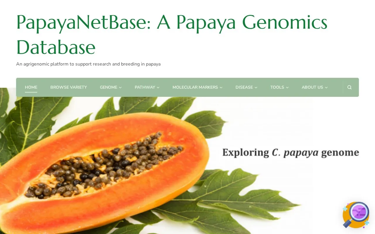 PapayaNetBase homepage screenshot