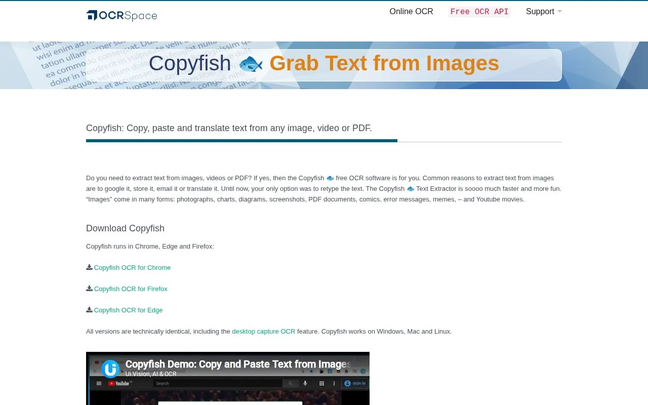 CopyFish homepage screenshot