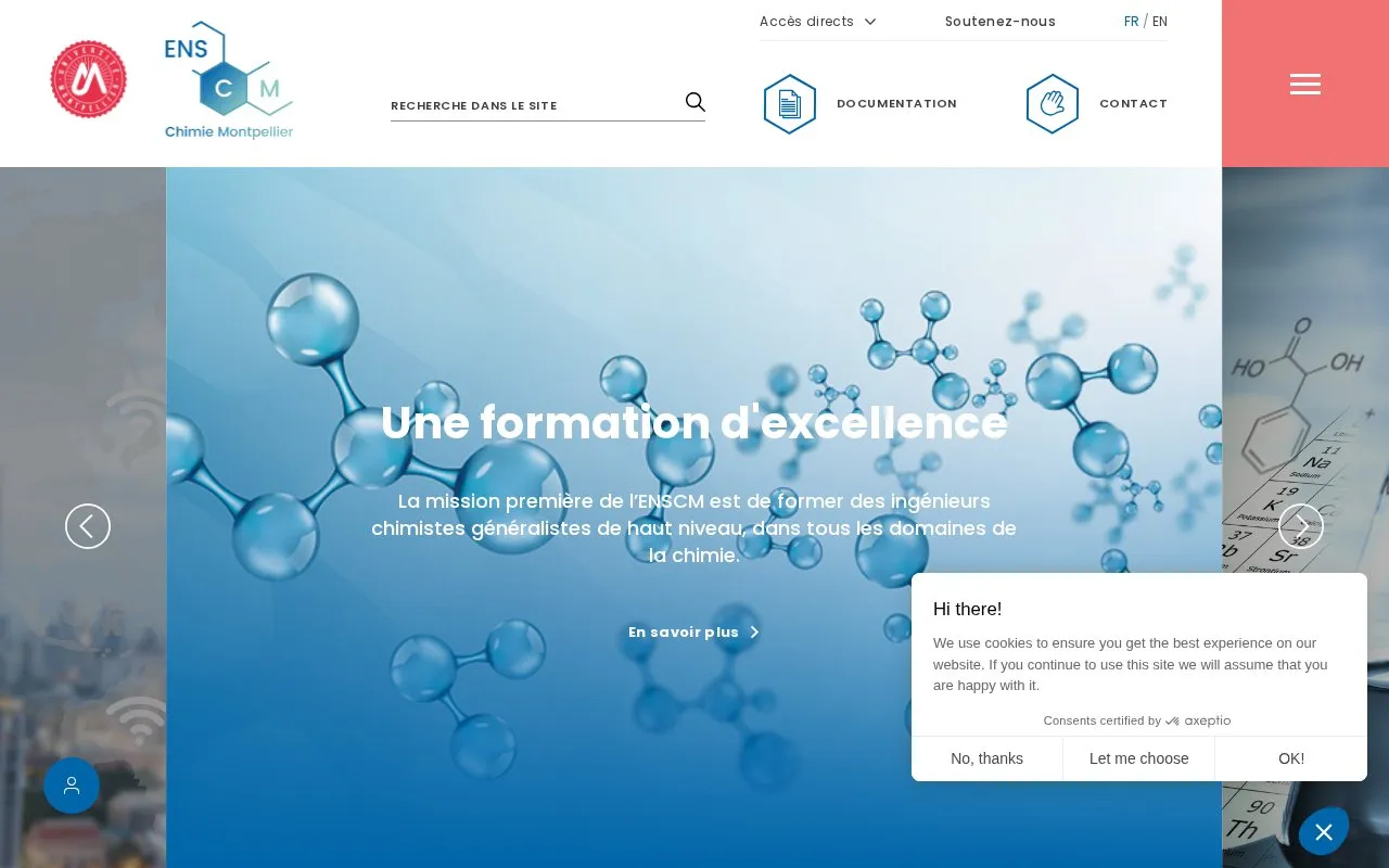 Ecole Nationale Superieure de Chimie de Montpellier homepage screenshot