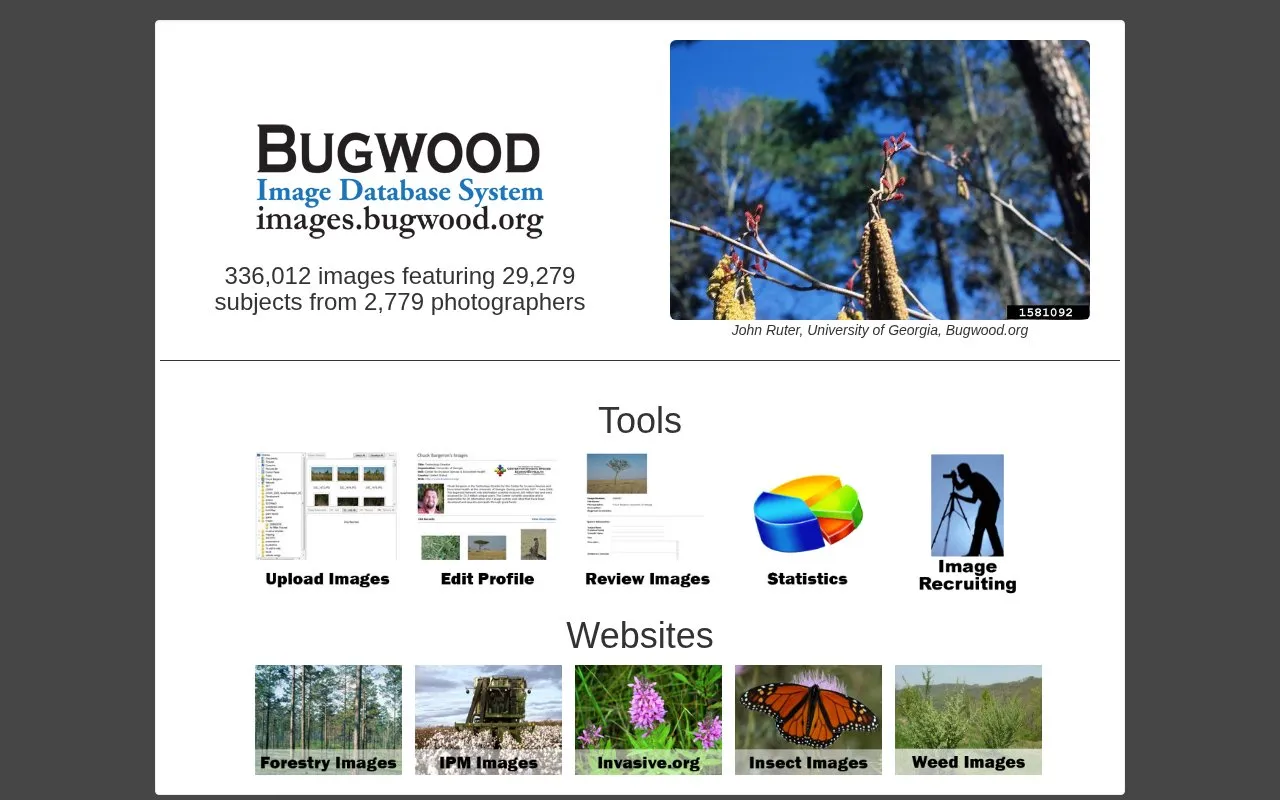 Bugwood Image Database System homepage screenshot