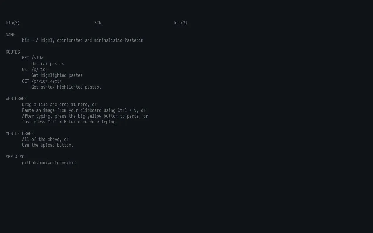 bin homepage screenshot
