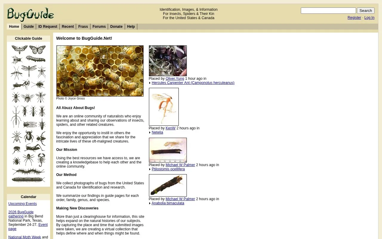 BugGuide homepage screenshot