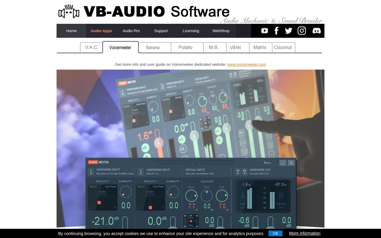 VoiceMeeter homepage screenshot
