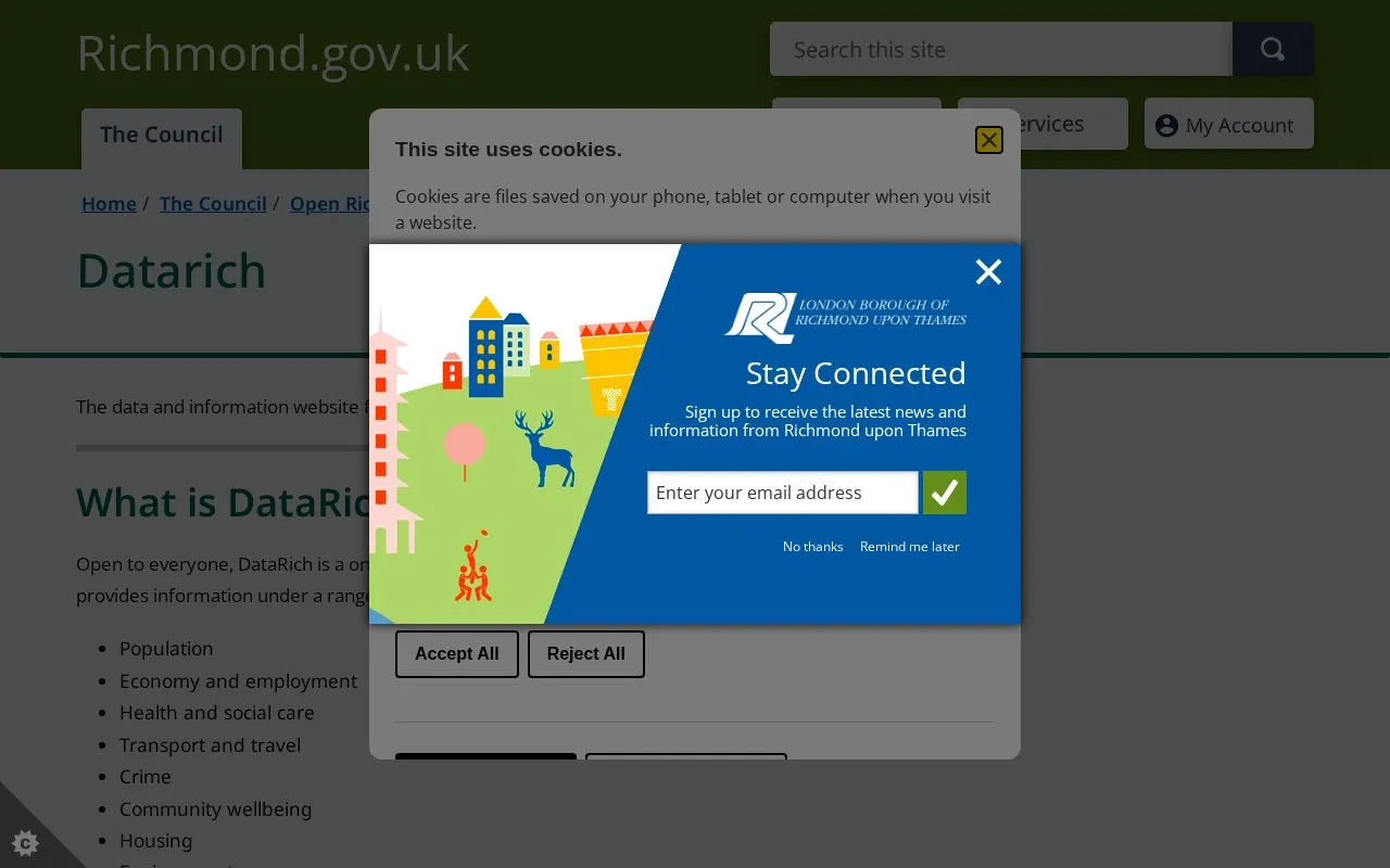 DataRich homepage screenshot