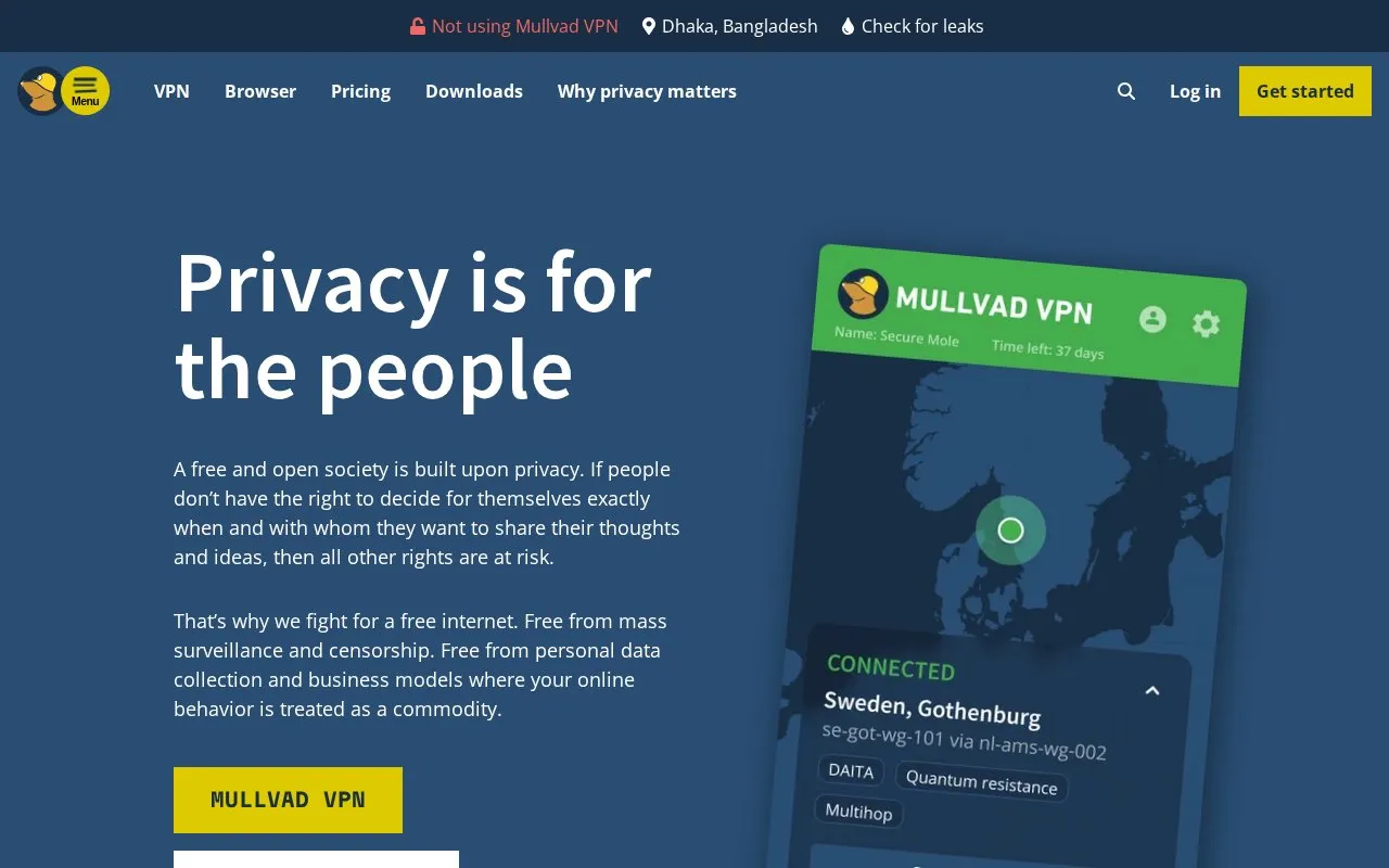 Mullvad VPN homepage screenshot