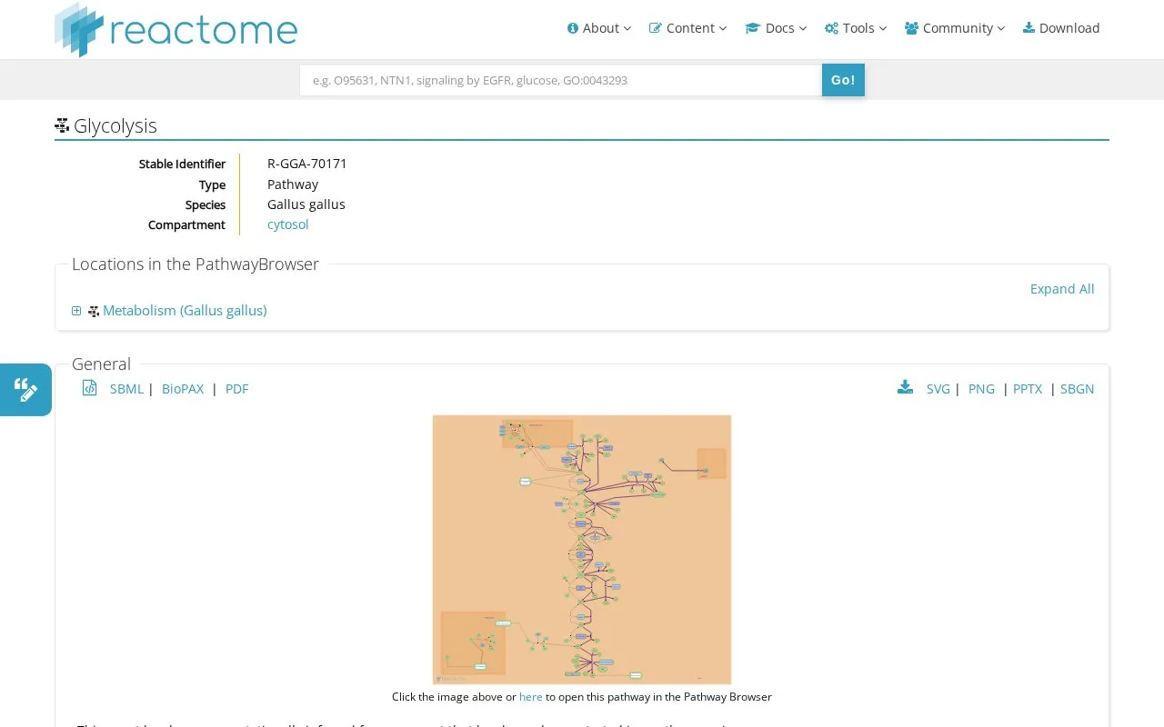 GallusReactome homepage screenshot