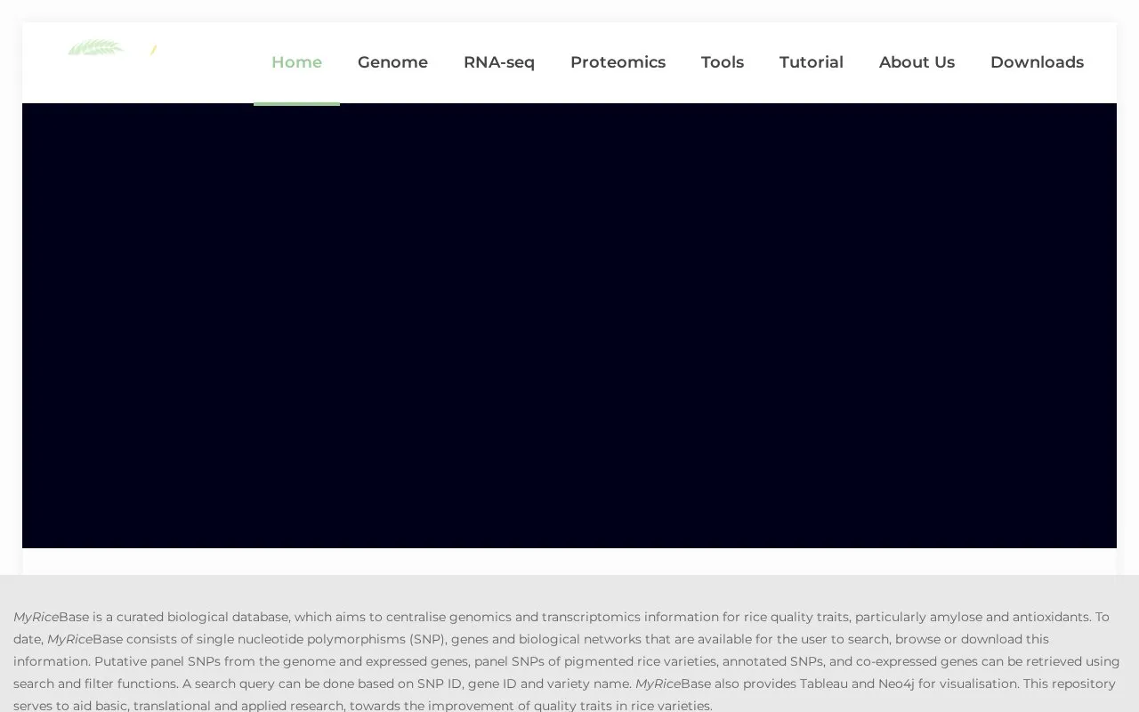 MyRiceBase homepage screenshot