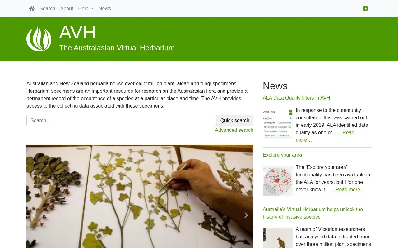 Australasian Virtual Herbarium homepage screenshot