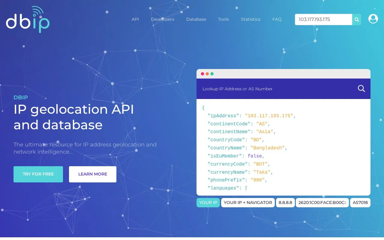 IP Geolocation API DB-IP homepage screenshot