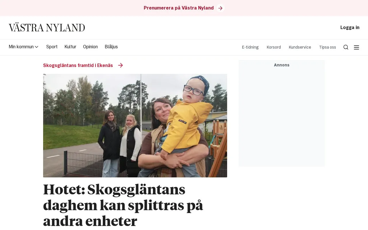 Västra Nyland homepage screenshot